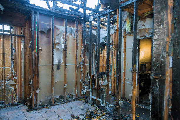 Professional Smoke Damage Removal technician working in Ashland, MO
